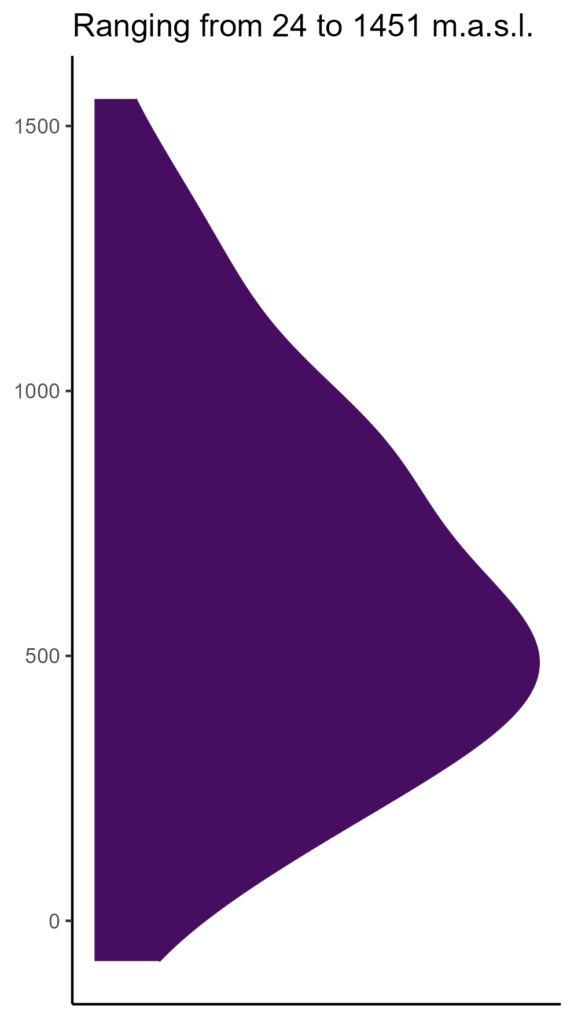 20260120 Php210 Elev 574x1024