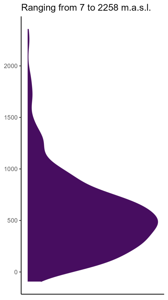 20260120 Php260 Elev 574x1024