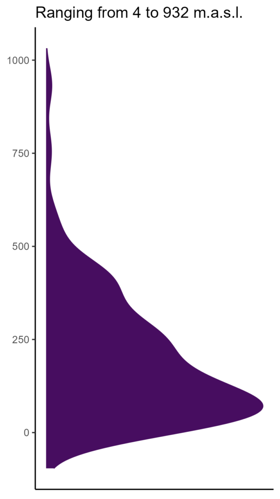 20260120 Php397 Elev 574x1024