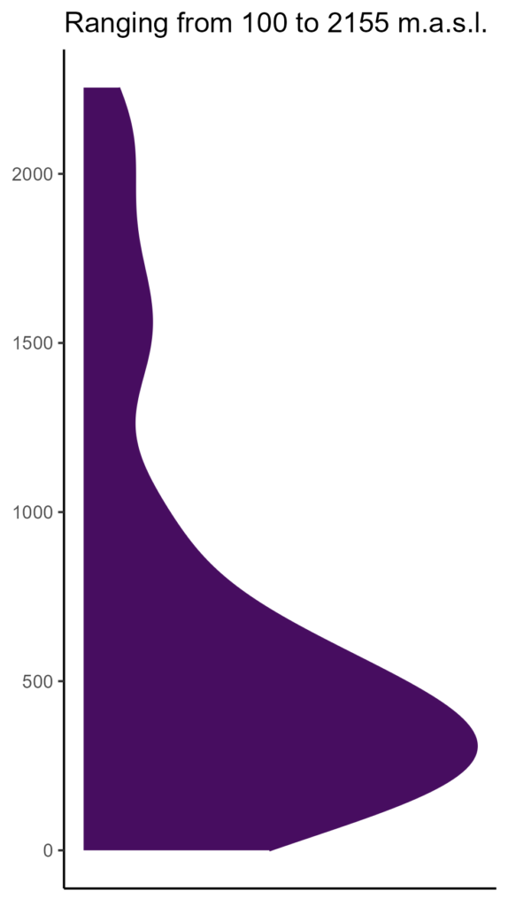 20260120 Pht207 Elev 574x1024