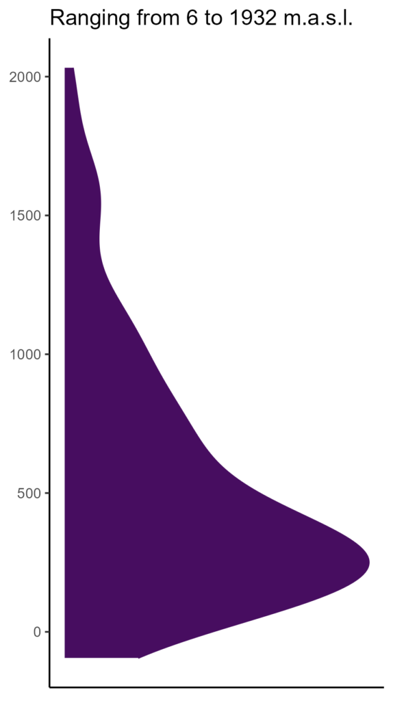 20260120 Pht211 Elev 574x1024