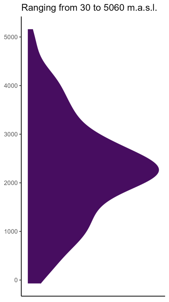 20260120 Pht219 Elev 574x1024