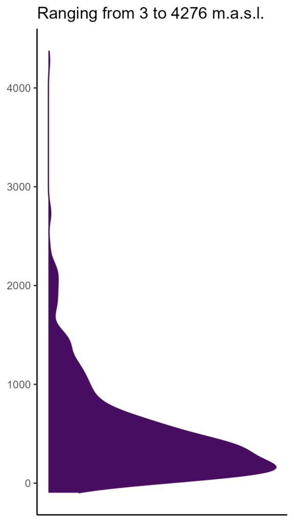 20260120 Pht286 Elev 574x1024