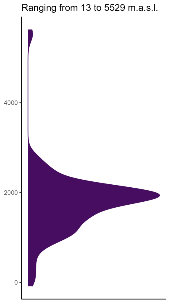 20260120 Phv274 Elev 574x1024