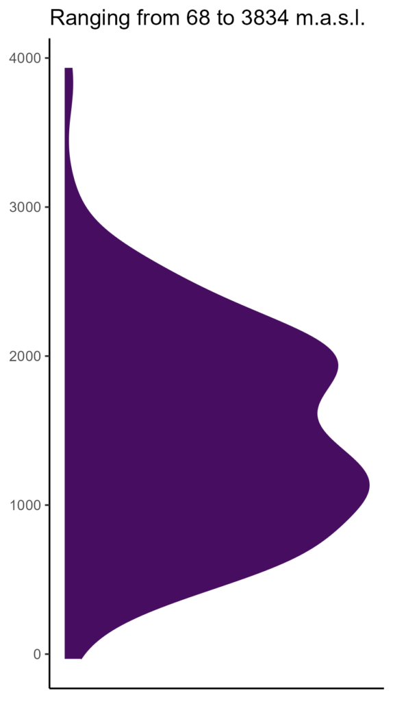 20260120 pla176 elev