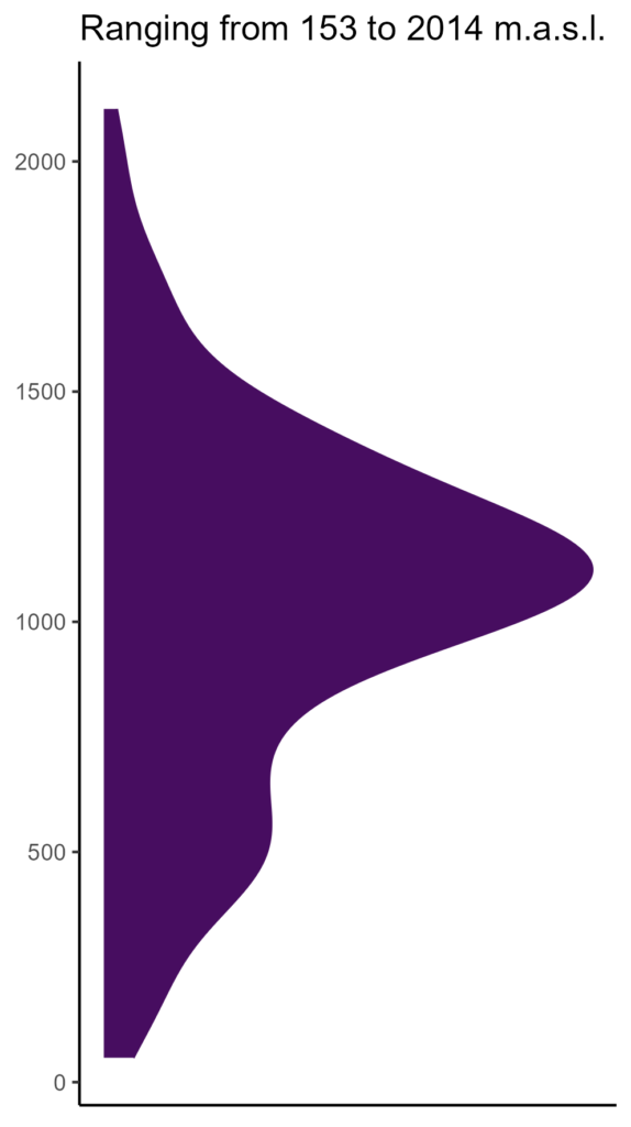 20260120 pll280 elev