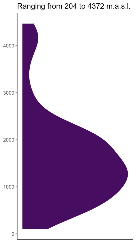 20260120 pln392 elev