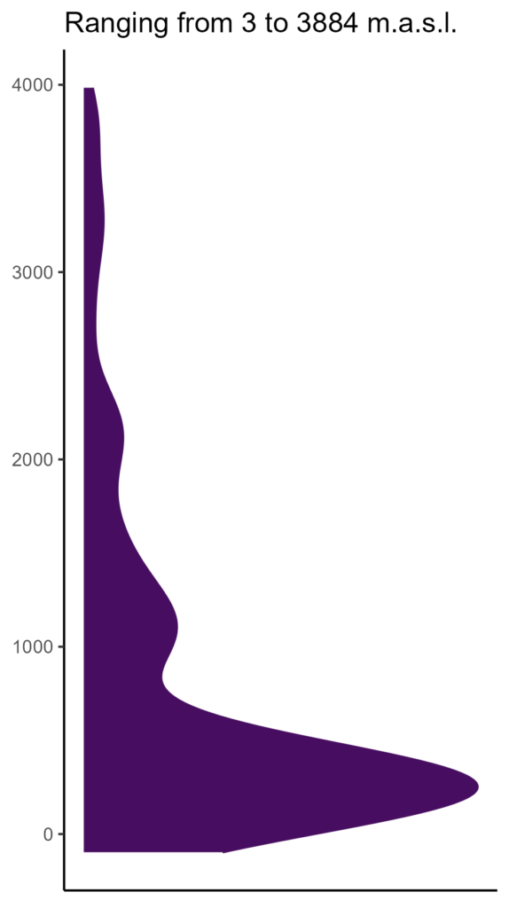 20260120 pmi072 elev