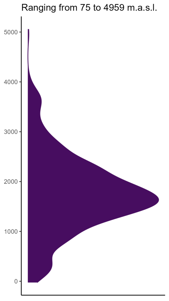 20260120 pmk011 elev