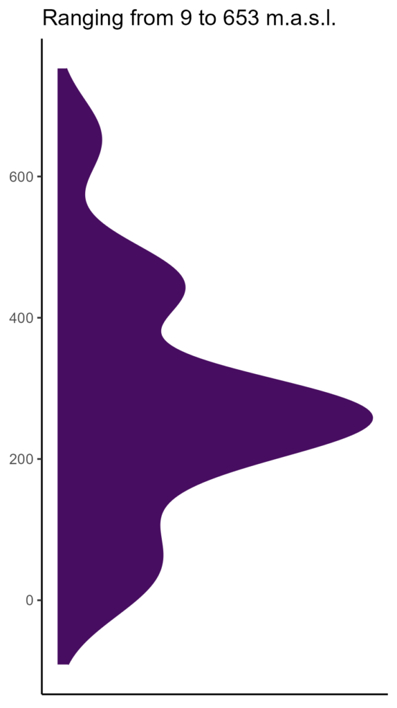 20260120 pml165 elev