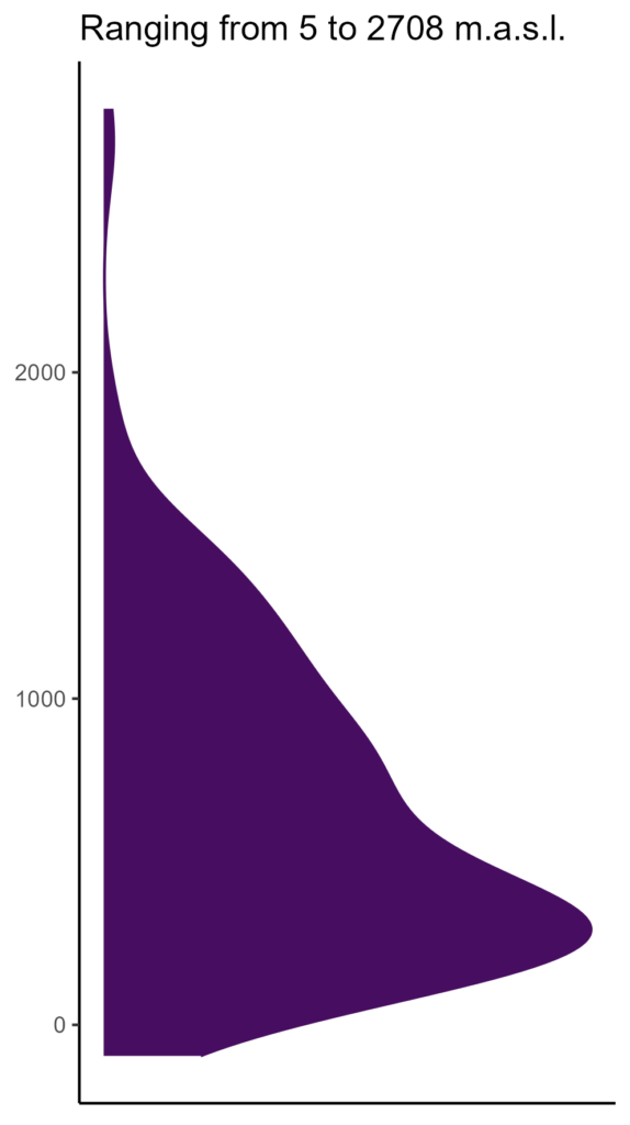 20260120 pmm233 elev