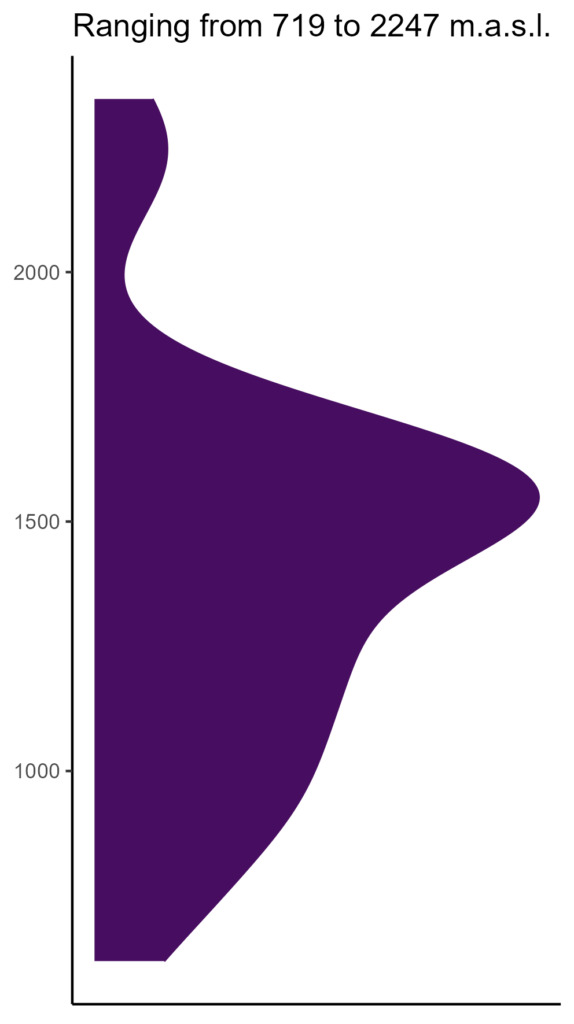 20260120 pmp228 elev