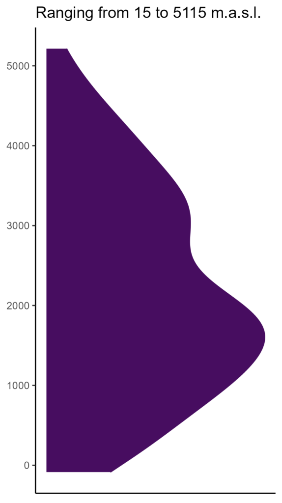 20260120 pmp325 elev