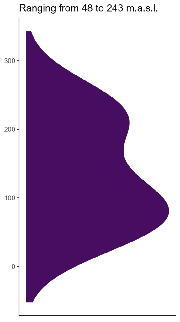 20260120 pms167 elev