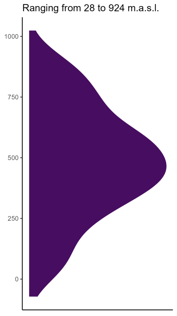 20260120 Pnm060 Elev 574x1024