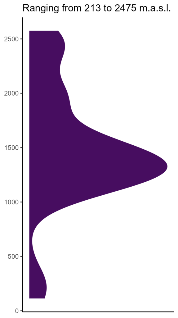 20260120 Pod365 Elev 574x1024