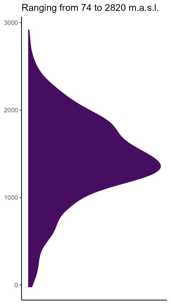 20260120 ppa288 elev