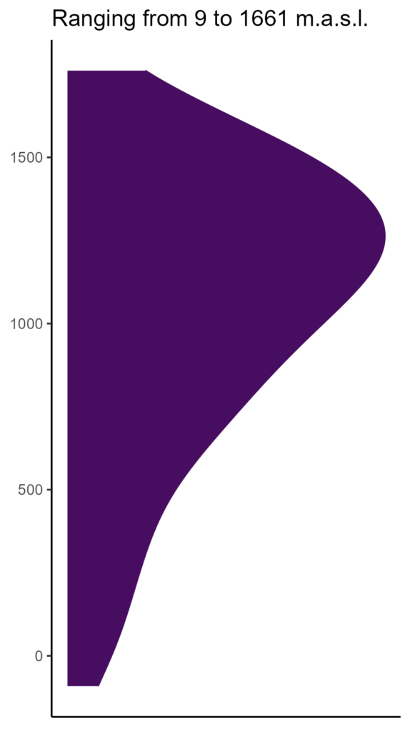 20260120 Ppb078 Elev 574x1024