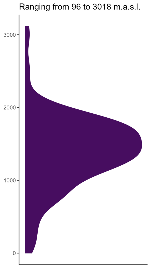 20260120 Ppb351 Elev 574x1024