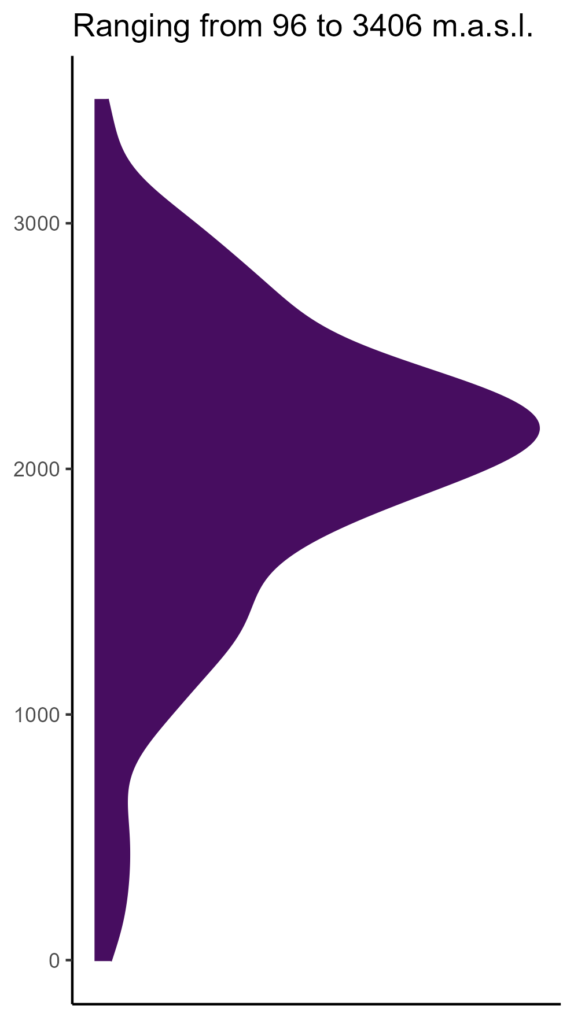 20260120 Ppb357 Elev 574x1024