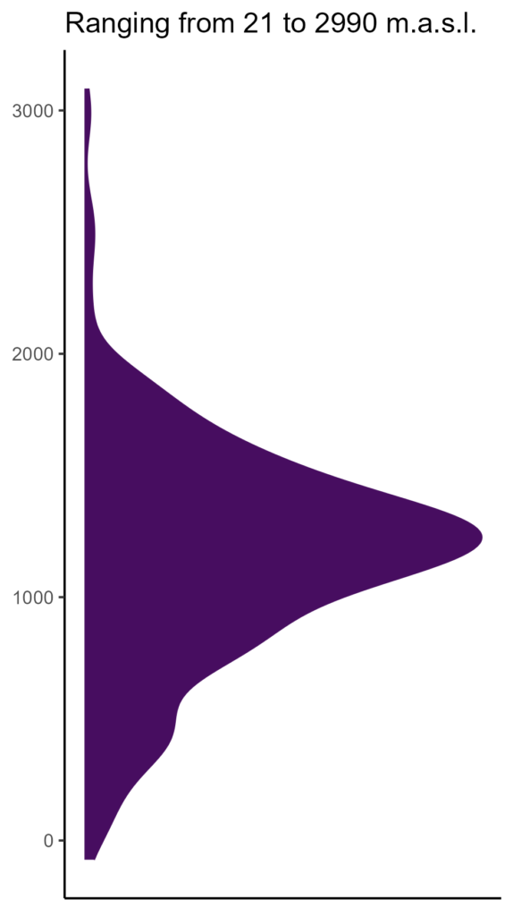 20260120 ppc289 elev