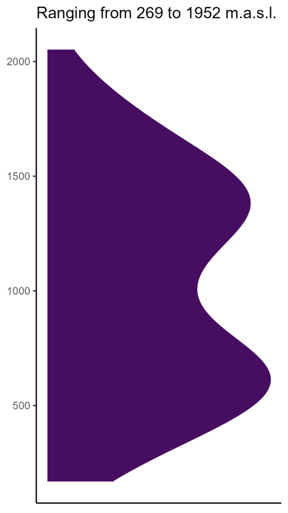 20260120 Ppd353 Elev 574x1024