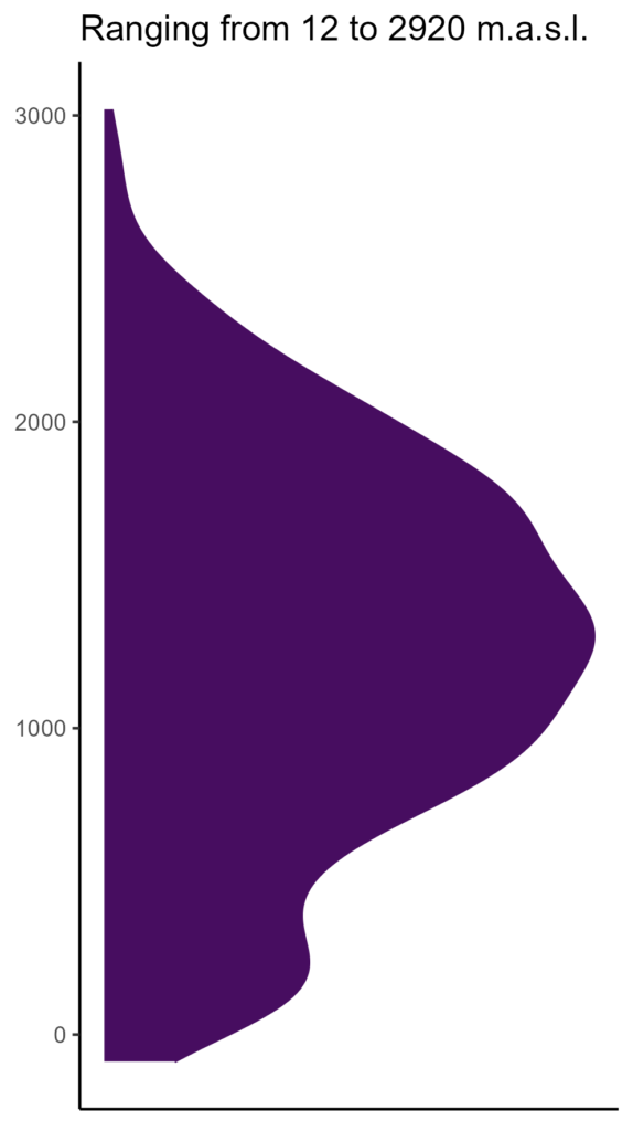 20260120 ppf273 elev