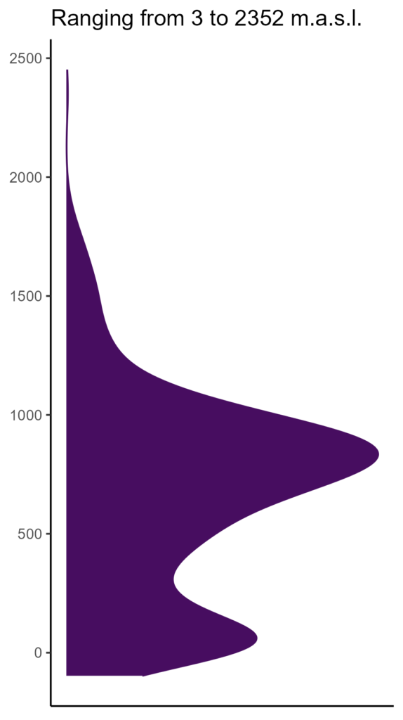 20260120 pph290 elev