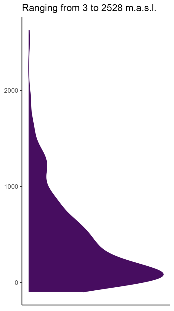 20260120 ppl393 elev
