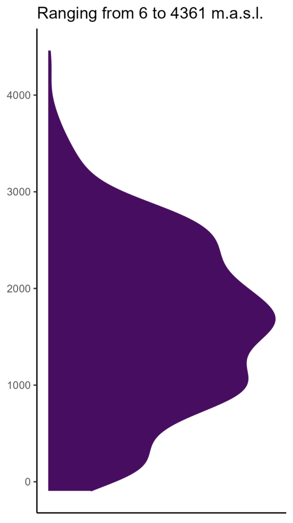 20260120 ppm291 elev