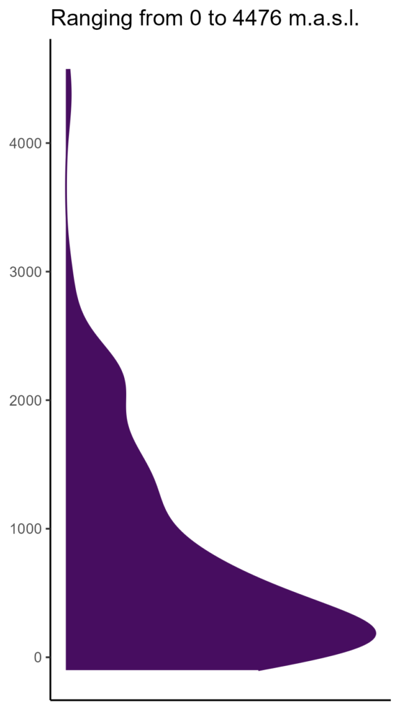 20260120 ppp239 elev