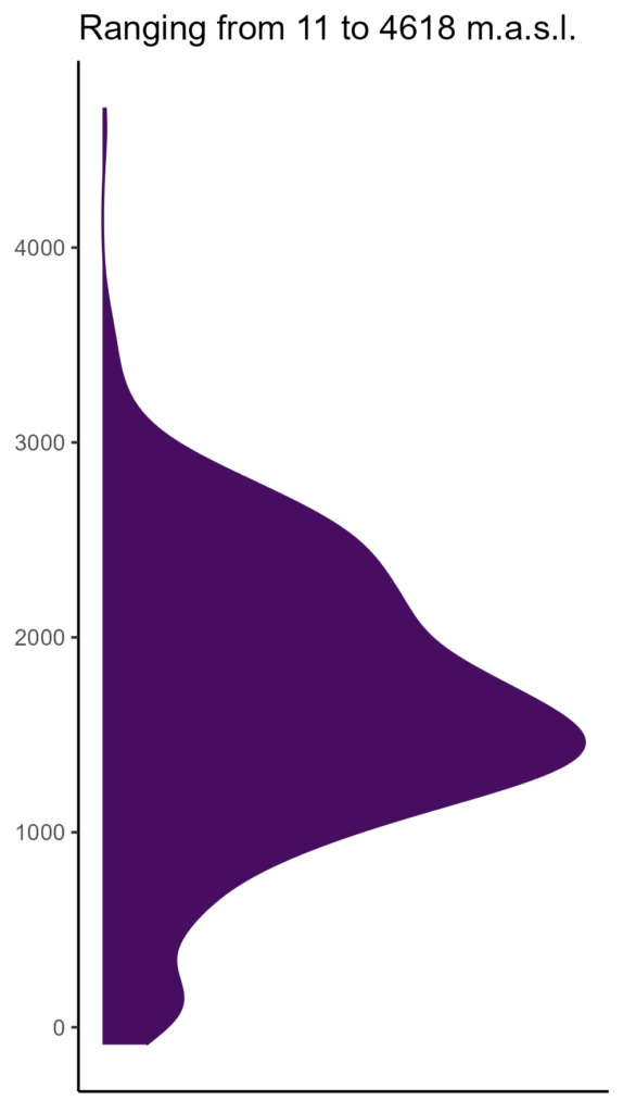 20260120 ppp293 elev