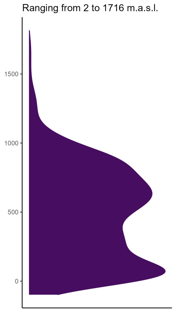 20260120 ppp294 elev