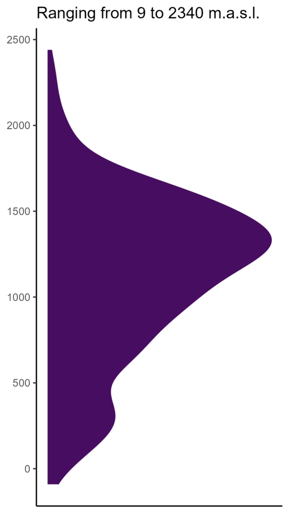 20260120 Ppp356 Elev 574x1024