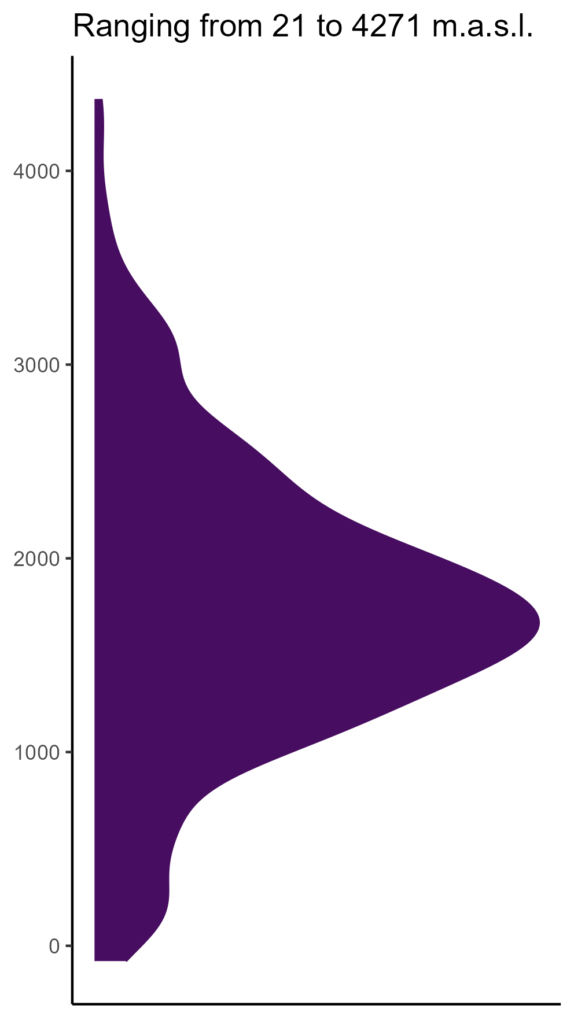 20260120 ppr295 elev