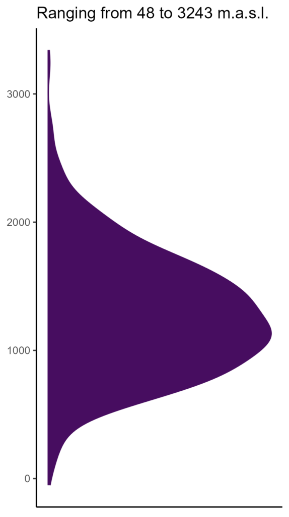 20260120 Ppt354 Elev 574x1024