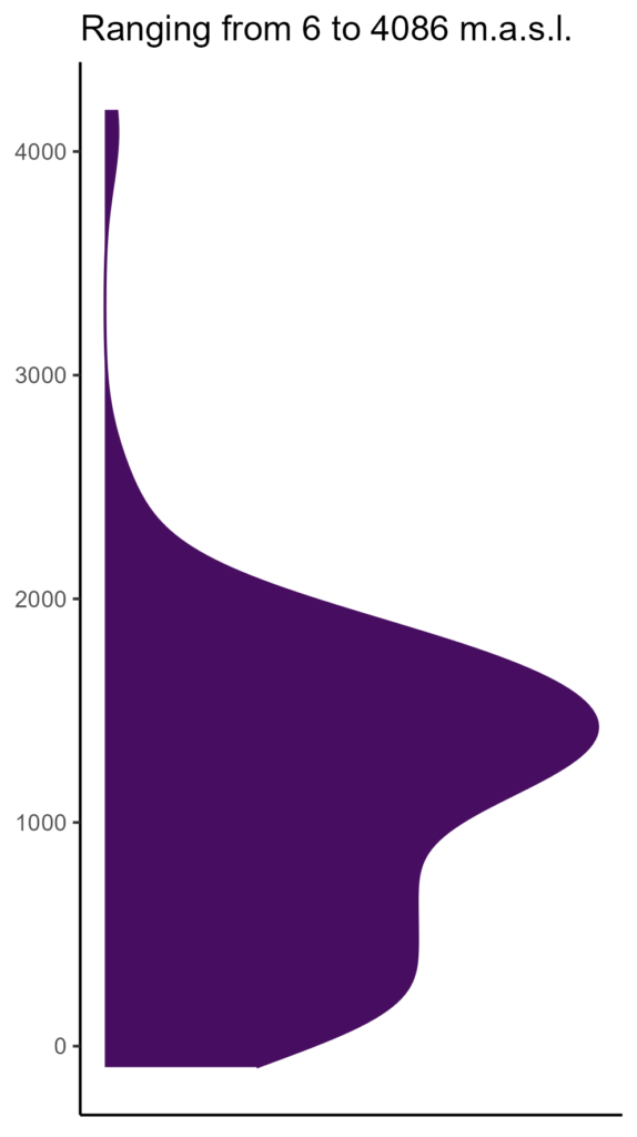 20260120 Ppv059 Elev 574x1024