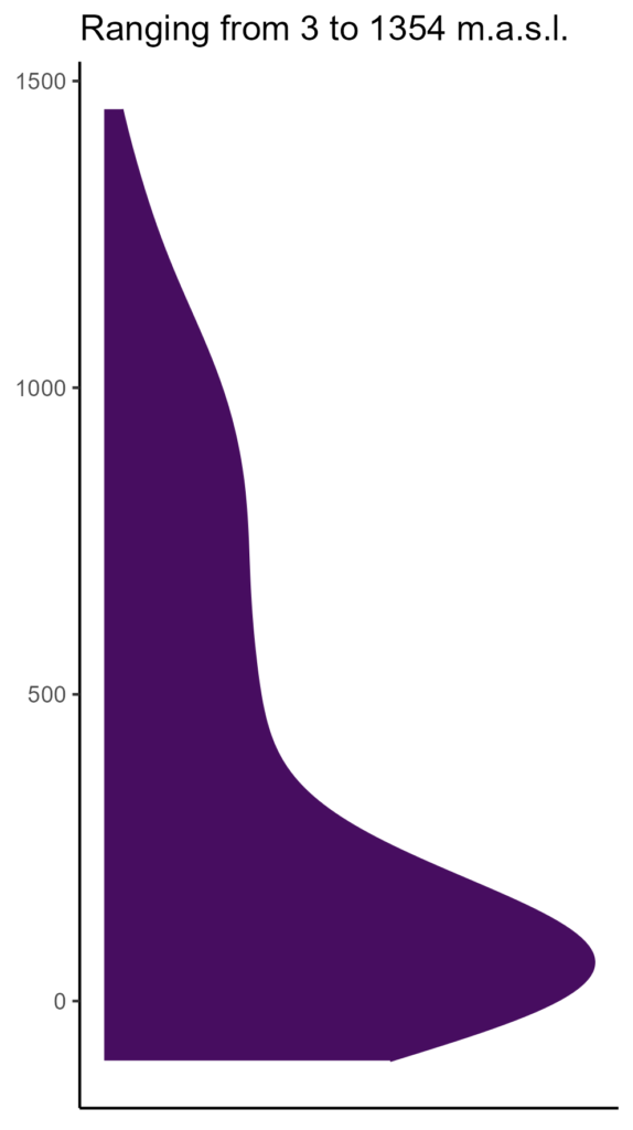 20260120 pse173 elev