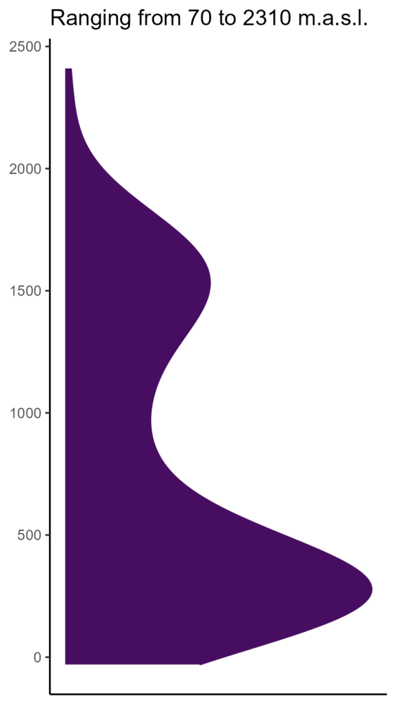 20260120 psf014 elev