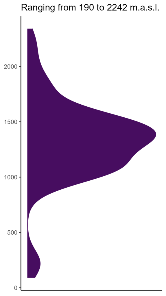 20260120 psh015 elev