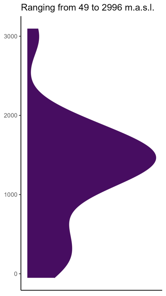 20260120 psp066 elev