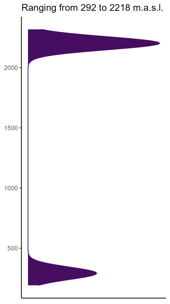 20260120 ptb390 elev