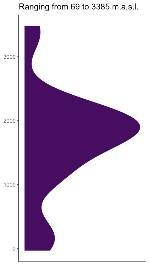 20260120 ptm049 elev