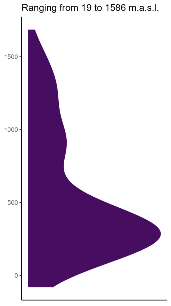 20260120 ptm229 elev