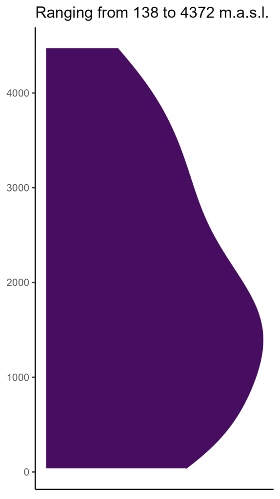 20260120 ptt391 elev