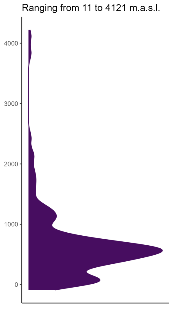 20260120 Pvg358 Elev 574x1024