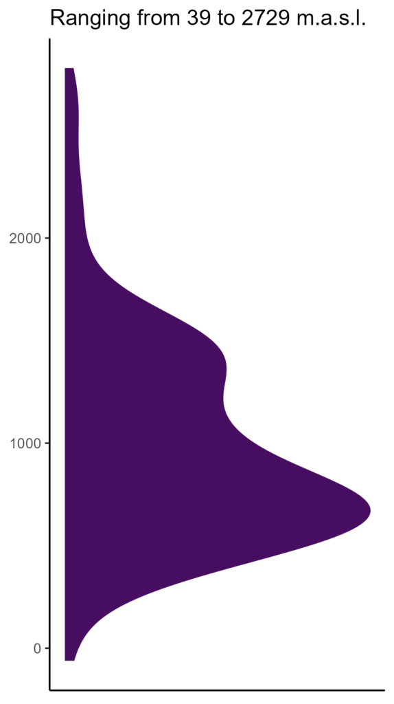 20260120 ssa298 elev