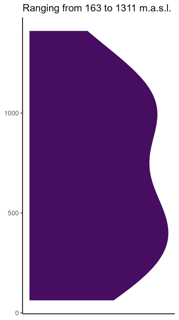 20260120 ssb186 elev