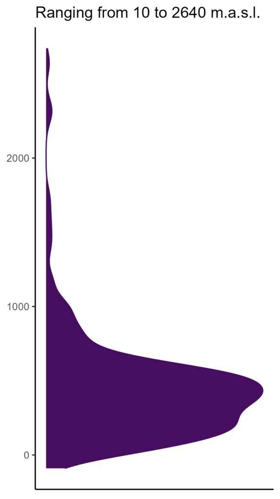 20260120 ssc002 elev