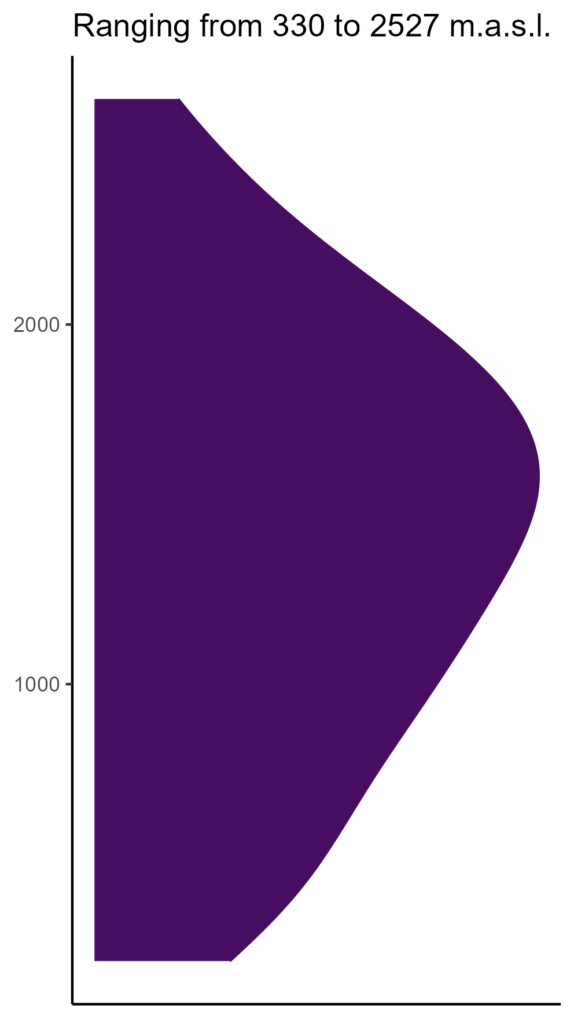 20260120 ssc110 elev